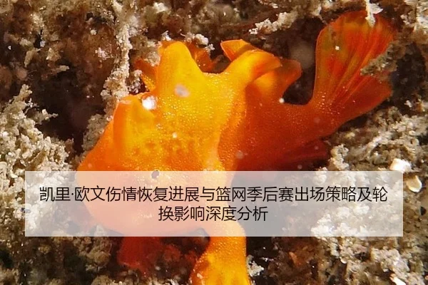 kai-li-ou-wen-shang-qing-hui-fu-jin-zhan-yu-lan-wang-ji-hou-sai-chu-chang-ce-lve-ji-lun-huan-ying-xiang-shen-du-fen-xi-2-832.jpg