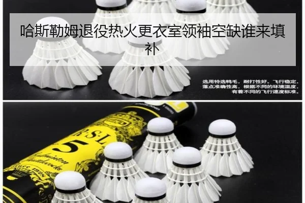 ha-si-lei-mu-tui-yi-re-huo-geng-yi-shi-ling-xiu-kong-que-shui-lai-tian-bu-2-234.jpg